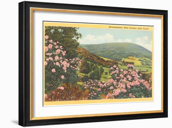 Rhododendron, State Flower of West Virginia-null-Framed Art Print