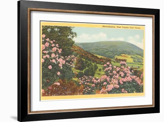 Rhododendron, State Flower of West Virginia-null-Framed Premium Giclee Print