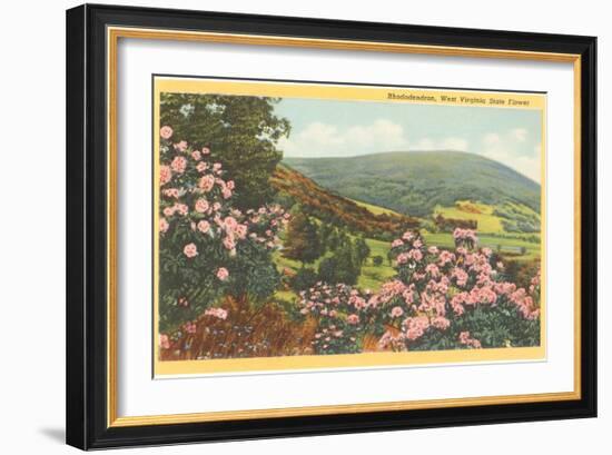 Rhododendron, State Flower of West Virginia-null-Framed Premium Giclee Print