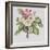 Rhododendron (W/C on Paper)-Margaret Ann Eden-Framed Giclee Print