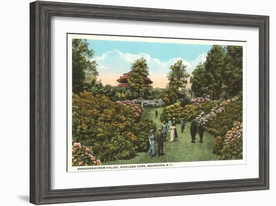 Rhododendrons, Highland Park, Rochester, New York-null-Framed Art Print