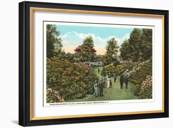 Rhododendrons, Highland Park, Rochester, New York-null-Framed Art Print