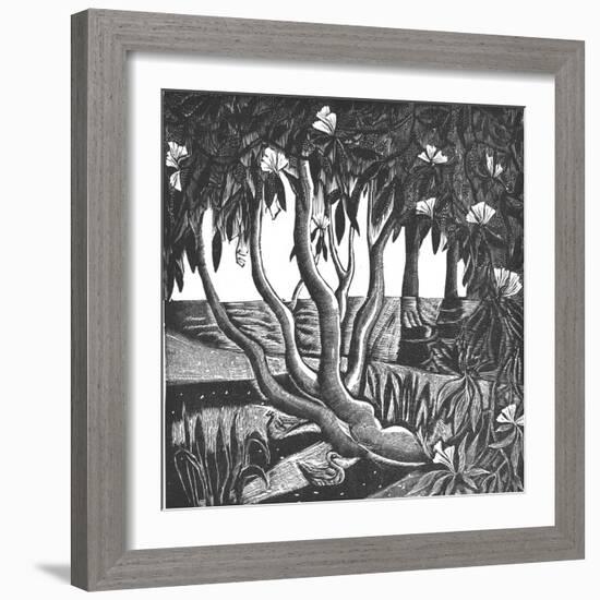 Rhododendrons, Holland Park-Mary Kuper-Framed Giclee Print