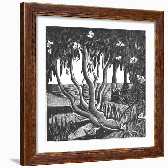 Rhododendrons, Holland Park-Mary Kuper-Framed Giclee Print