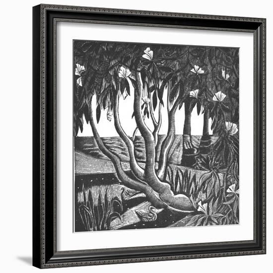 Rhododendrons, Holland Park-Mary Kuper-Framed Giclee Print