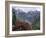 Rhododendrons in Bloom, Dhaula Dhar Range of the Western Himalayas, Himachal Pradesh, India-David Poole-Framed Photographic Print