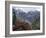 Rhododendrons in Bloom, Dhaula Dhar Range of the Western Himalayas, Himachal Pradesh, India-David Poole-Framed Photographic Print