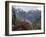 Rhododendrons in Bloom, Dhaula Dhar Range of the Western Himalayas, Himachal Pradesh, India-David Poole-Framed Photographic Print