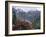 Rhododendrons in Bloom, Dhaula Dhar Range of the Western Himalayas, Himachal Pradesh, India-David Poole-Framed Photographic Print