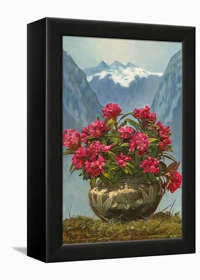 Rhododendrons in Pot by Mountains-null-Framed Stretched Canvas