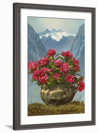 Rhododendrons in Pot by Mountains-null-Framed Art Print