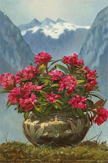 Premium Giclee Print, , large