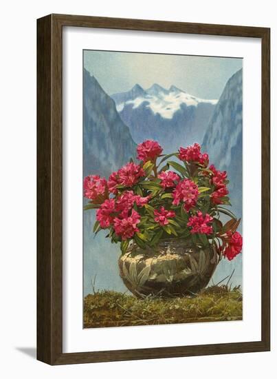 Rhododendrons in Pot by Mountains--Framed Art Print