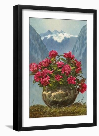 Rhododendrons in Pot by Mountains-null-Framed Art Print