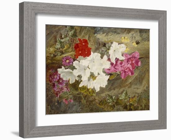 Rhododendrons with Bumble-Bee on an Ivy-Clad Ledge-Thomas Worsey-Framed Giclee Print