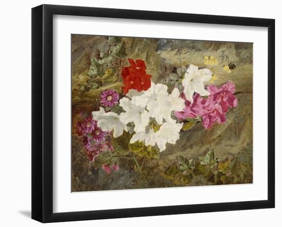Rhododendrons with Bumble-Bee on an Ivy-Clad Ledge-Thomas Worsey-Framed Giclee Print