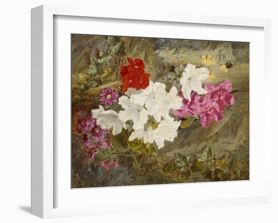 Rhododendrons with Bumble-Bee on an Ivy-Clad Ledge-Thomas Worsey-Framed Giclee Print