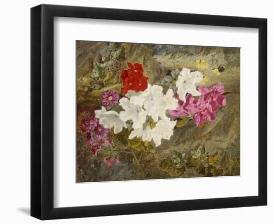 Rhododendrons with Bumble-Bee on an Ivy-Clad Ledge-Thomas Worsey-Framed Giclee Print