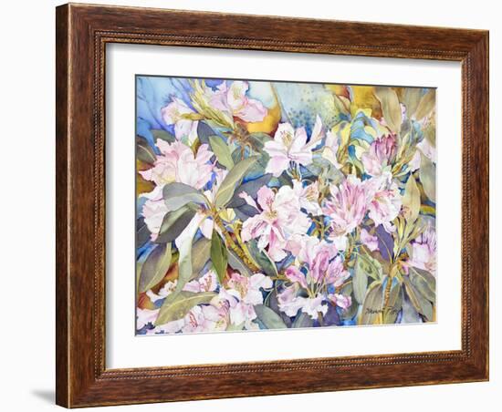 Rhododendrons-Sharon Pitts-Framed Giclee Print