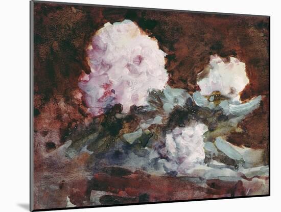 Rhododendrons-Hercules Brabazon Brabazon-Mounted Giclee Print