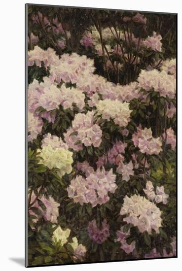 Rhododendrons-Alfrida Vilhelmine Ludovica Baadsgaard-Mounted Giclee Print