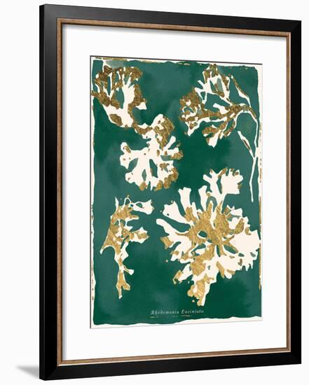 Rhodomenia Laciniata - Jewel-Maja Gunnarsdottir-Framed Giclee Print