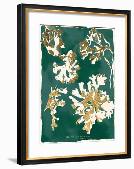 Rhodomenia Laciniata - Jewel-Maja Gunnarsdottir-Framed Giclee Print