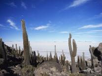 Salar Pujsa, Dust Devil, Atacama Desert, Chile-Rhonda Klevansky-Photographic Print