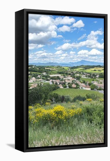 Rhone Valley, Chateauneuf du Pape, France-Jim Engelbrecht-Framed Premier Image Canvas