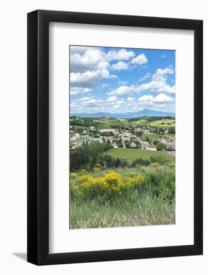 Rhone Valley, Chateauneuf du Pape, France-Jim Engelbrecht-Framed Photographic Print