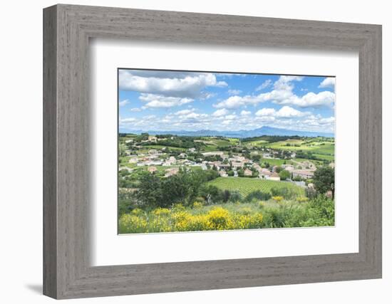 Rhone Valley, Chateauneuf du Pape, France-Jim Engelbrecht-Framed Photographic Print