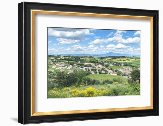 Rhone Valley, Chateauneuf du Pape, France-Jim Engelbrecht-Framed Photographic Print