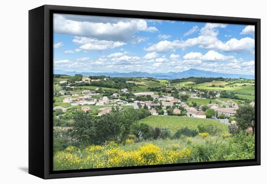 Rhone Valley, Chateauneuf du Pape, France-Jim Engelbrecht-Framed Premier Image Canvas