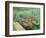 Rhonebarken, (Les Bateaux Amarrés), 1888-Vincent van Gogh-Framed Giclee Print