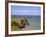 Rhossili Bay, Gower Peninsula, Wales, United Kingdom, Europe-Billy Stock-Framed Photographic Print