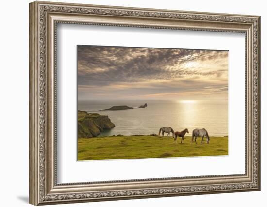 Rhossili Bay, Gower, Wales, United Kingdom, Europe-Billy Stock-Framed Photographic Print