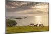 Rhossili Bay, Gower, Wales, United Kingdom, Europe-Billy Stock-Mounted Photographic Print