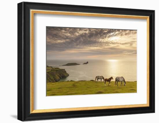 Rhossili Bay, Gower, Wales, United Kingdom, Europe-Billy Stock-Framed Photographic Print