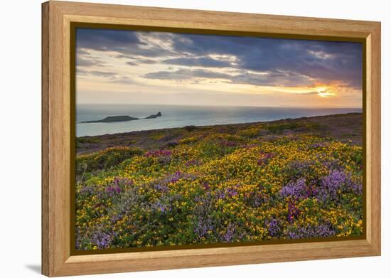 Rhossili Bay, Worms End, Gower Peninsula, Wales, United Kingdom, Europe-Billy-Framed Premier Image Canvas