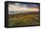 Rhossili Bay, Worms End, Gower Peninsula, Wales, United Kingdom, Europe-Billy-Framed Premier Image Canvas