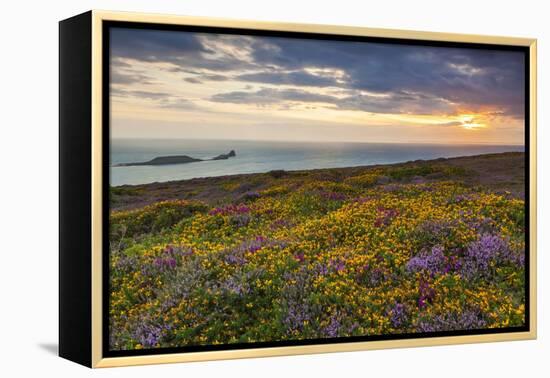 Rhossili Bay, Worms End, Gower Peninsula, Wales, United Kingdom, Europe-Billy-Framed Premier Image Canvas