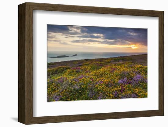 Rhossili Bay, Worms End, Gower Peninsula, Wales, United Kingdom, Europe-Billy-Framed Photographic Print