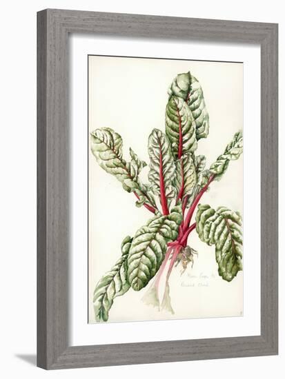 Rhubarb Chard, 1992-Alison Cooper-Framed Giclee Print