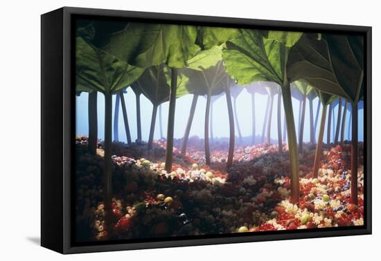 Rhubarb Forest with a Berry Floor-Hartmut Seehuber-Framed Premier Image Canvas