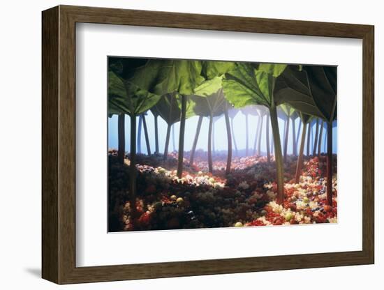 Rhubarb Forest with a Berry Floor-Hartmut Seehuber-Framed Photographic Print