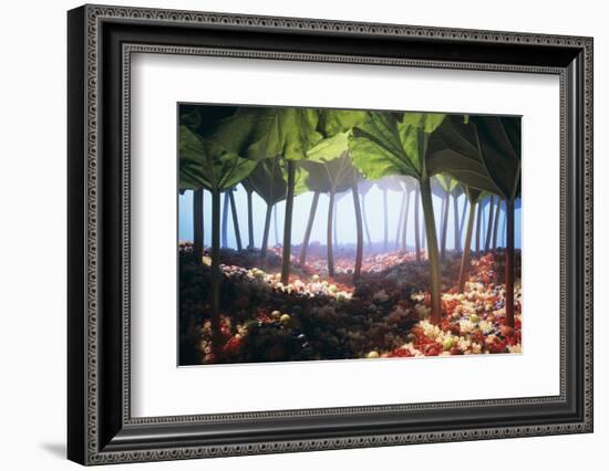 Rhubarb Forest with a Berry Floor-Hartmut Seehuber-Framed Photographic Print