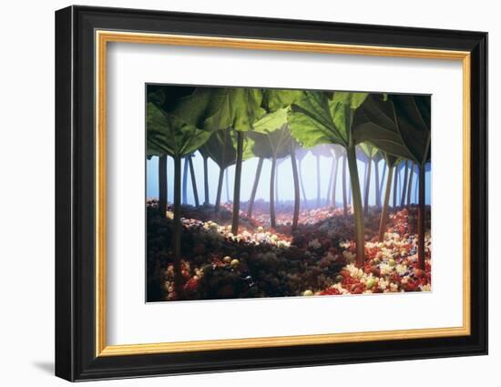 Rhubarb Forest with a Berry Floor-Hartmut Seehuber-Framed Photographic Print