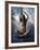 Rhydo-Lynne Davies-Framed Photographic Print