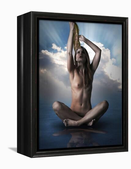 Rhydo-Lynne Davies-Framed Premier Image Canvas