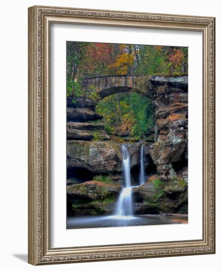 Rhynoodle-Jim Crotty-Framed Photographic Print